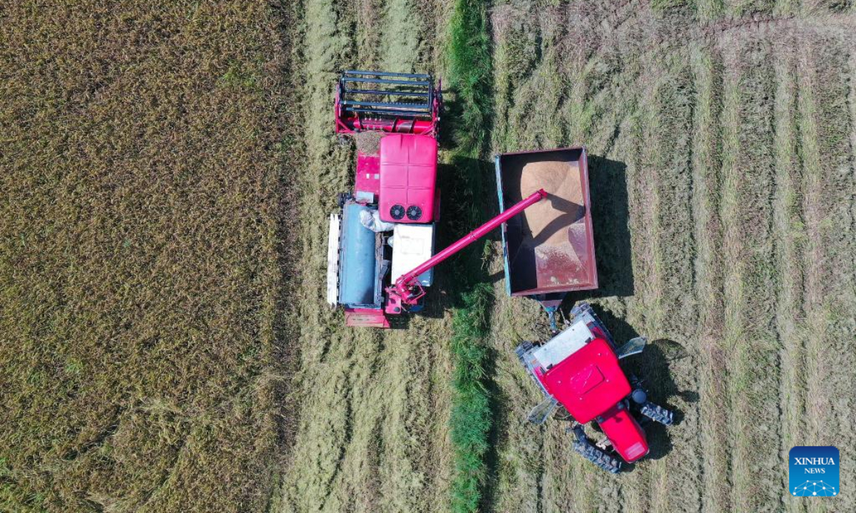 Aerial photo shows agricultural vehicles harvesting early-season rice in Nanchang County, east China's Jiangxi Province, July 13, 2022. Photo:Xinhua