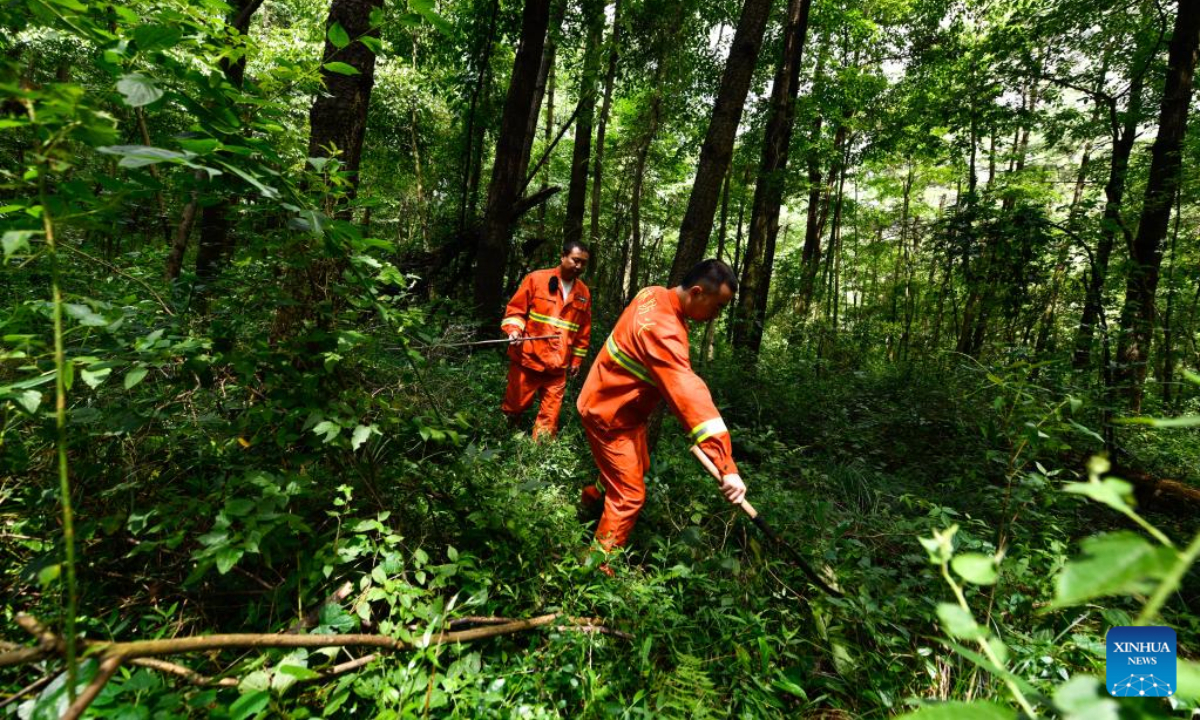 Staff workers patrol in Changpoling National Forest Park in Guiyang, southwest China's Guizhou Province, July 13, 2022. Photo:Xinhua
