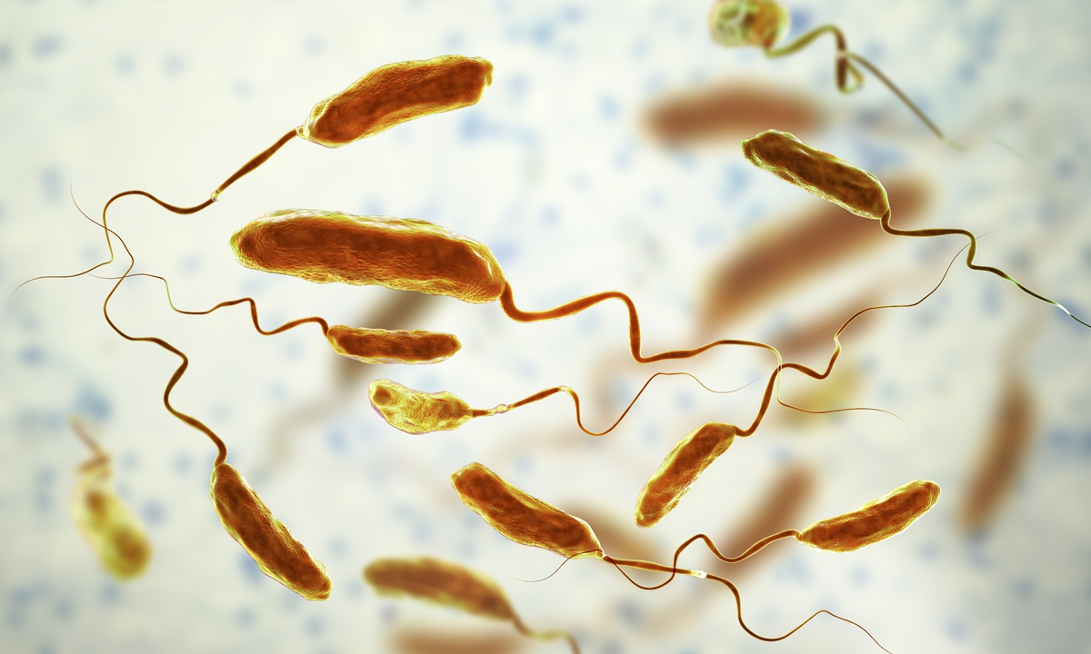 Cholera is an acute diarrhoeal disease caused by the bacterium Vibrio cholerae. Photo: VCG