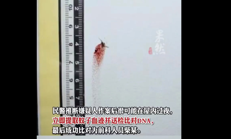 A mosquito killed in a burgled department helps police catch the thief. Screenshot of D Video