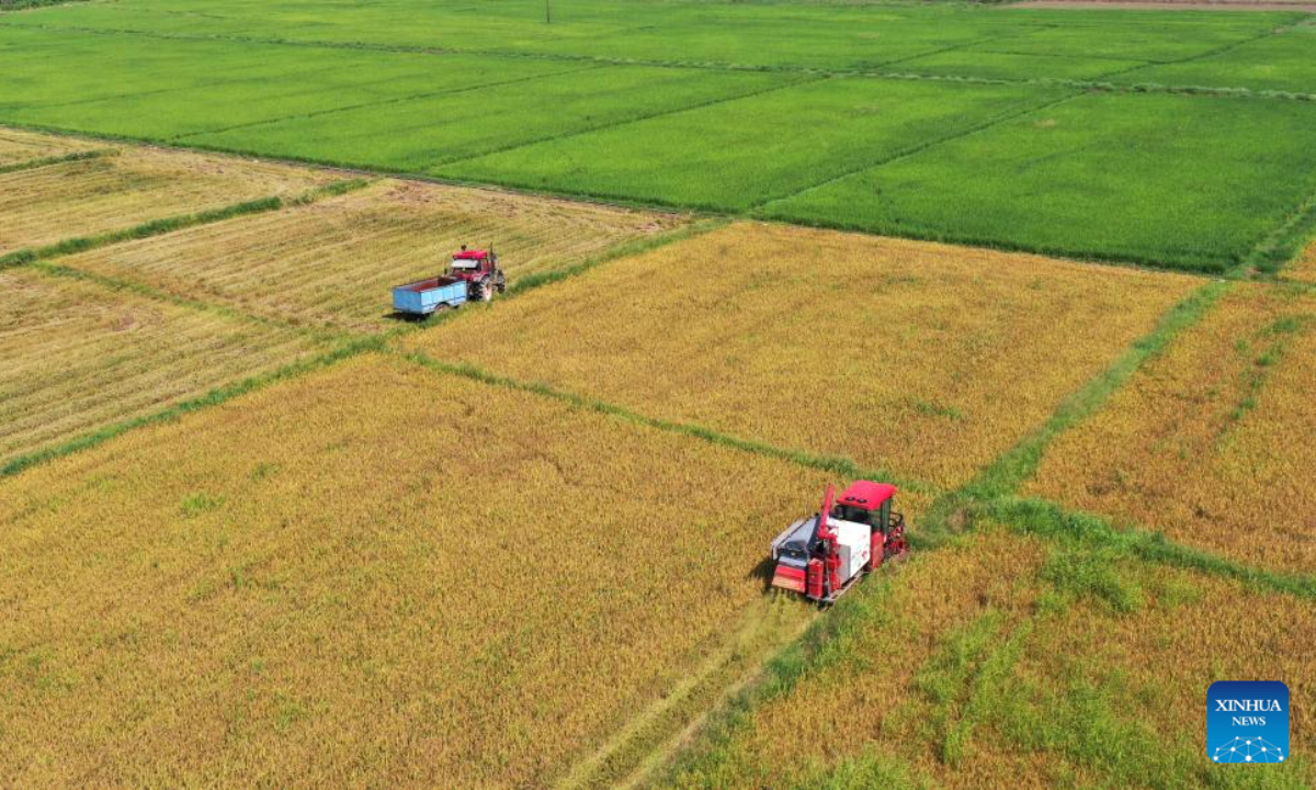 Aerial photo shows agricultural vehicles harvesting early-season rice in Nanchang County, east China's Jiangxi Province, July 13, 2022. Photo:Xinhua