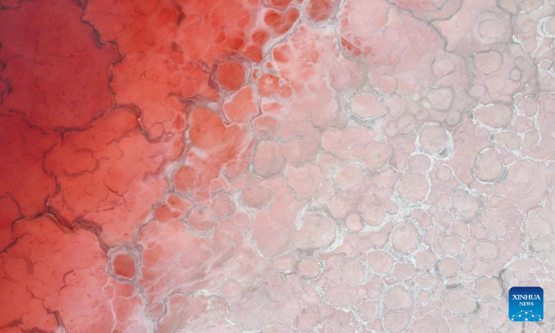 Aerial photo taken on July 13, 2022 shows a lake at the Badain Jaran Desert in north China's Inner Mongolia Autonomous Region. (Xinhua/Bei He)