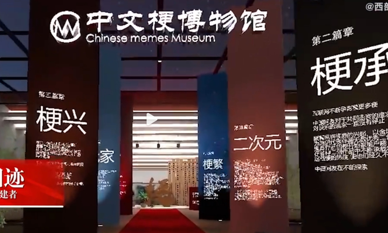 The Chinese Memes Museum. Screenshot of D Video