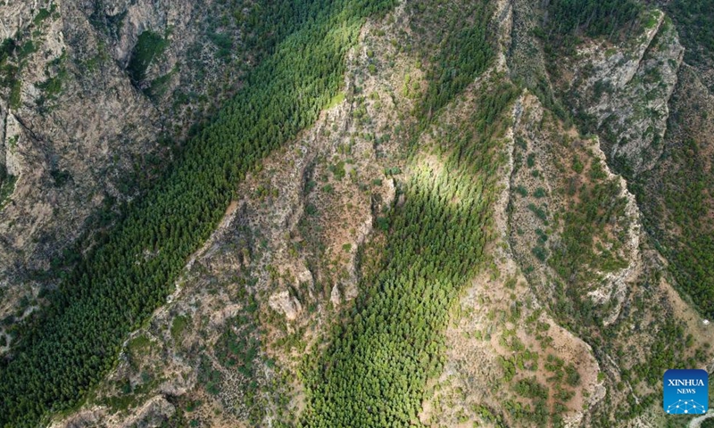 Aerial photo taken on July 11, 2022 shows a view of the Helan Mountain National Nature Reserve in Araxan Left Banner, north China's Inner Mongolia Autonomous Region.(Photo: Xinhua)