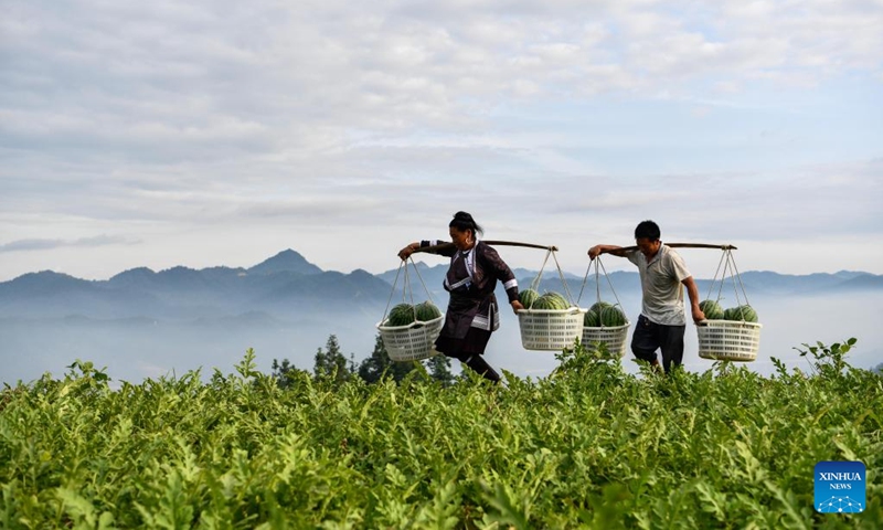 Villagers carry watermelons in Zhongcheng Township of Rongjiang County, southwest China's Guizhou Province, July 16, 2022. Recently, Rongjiang County held various watermelon festivals to help farmers to promote sales of watermelons during the harvest season.  In recent years, new varieties of watermelon have been introduced to Rongjiang to boost villagers' incomes and the local economy.  (Photo: Xinhua)