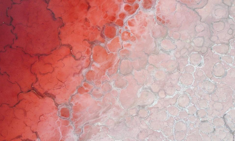 Aerial photo taken on July 13, 2022 shows a lake at the Badain Jaran Desert in north China's Inner Mongolia Autonomous Region.(Photo: Xinhua)