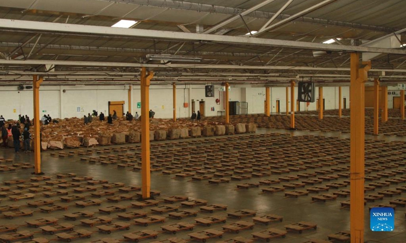 Zimbabwe's tobacco farmers make last deliveries as auction season ends
