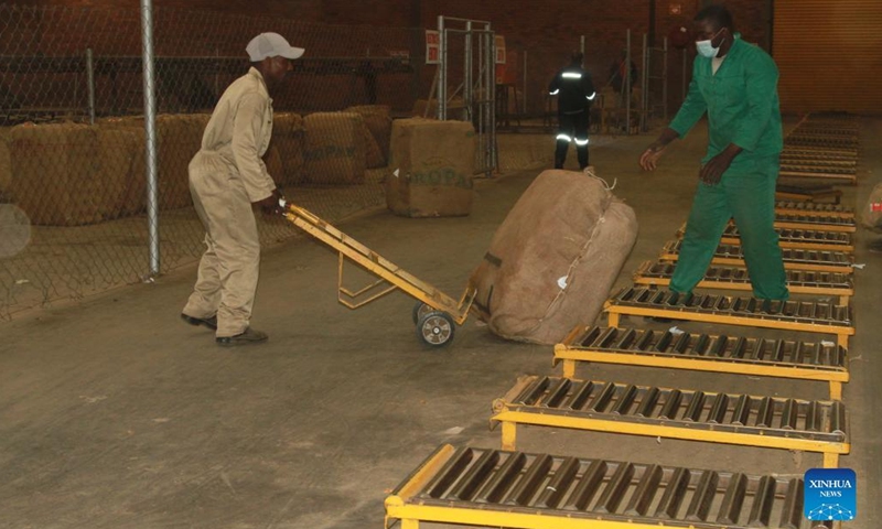 tobacco bale Baling Box In Use Portugal, Azores, Sao Miguel Island,