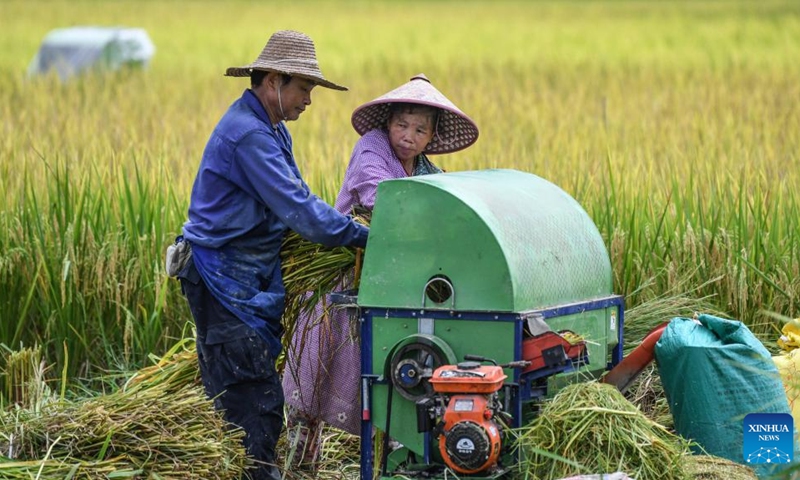 Farmers work in a paddy field in Mingfeng Village, Dahua Yao Autonomous County, south China's Guangxi Zhuang Autonomous Region, July 20, 2022.(Photo: Xinhua)