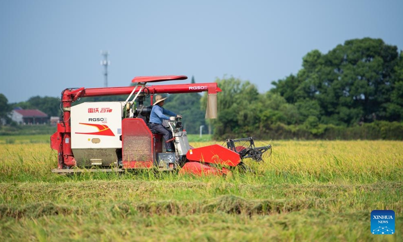 A farmer drives a harvester at a rice field in Xuefengshan Village of Taojiang County, central China's Hunan Province, July 16, 2022.Photo:Xinhua