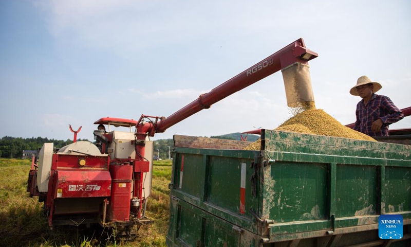 Farmers load the harvested rice in Xuefengshan Village of Taojiang County, central China's Hunan Province, July 16, 2022.Photo:Xinhua