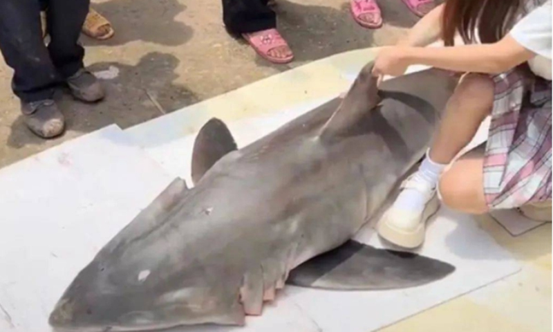 The influencer suspected of using an endangered shark as food. Screenshot of The Paper.
