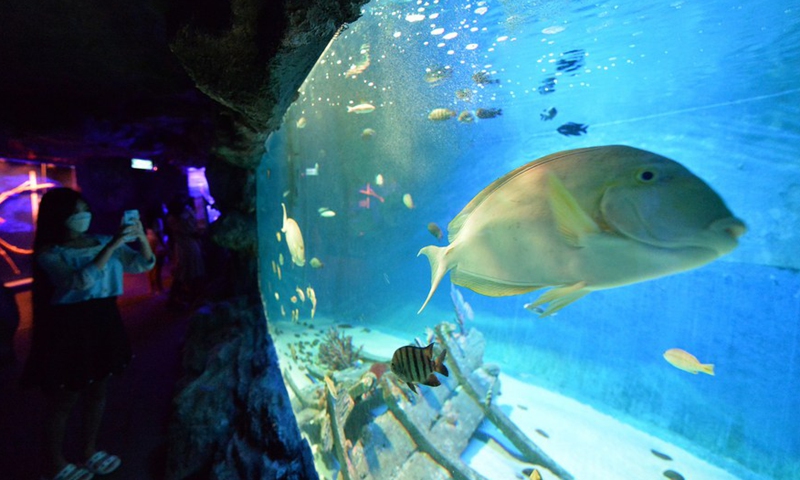 A tourist takes photos at Underwater World Pattaya in Chonburi province, Thailand, on July 16, 2022.Photo:Xinhua