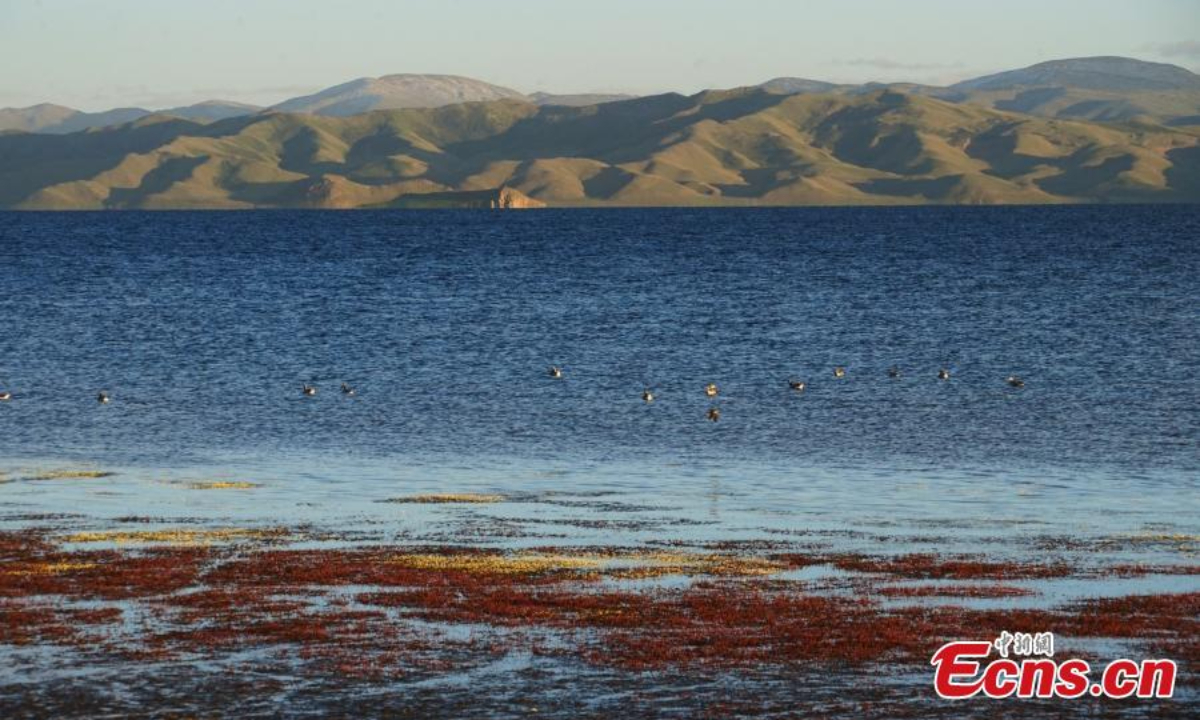 青海省果洛藏族自治州玛多县冬格错那湖的夏日景色如蓝宝石一般纯净。 图片：中新社