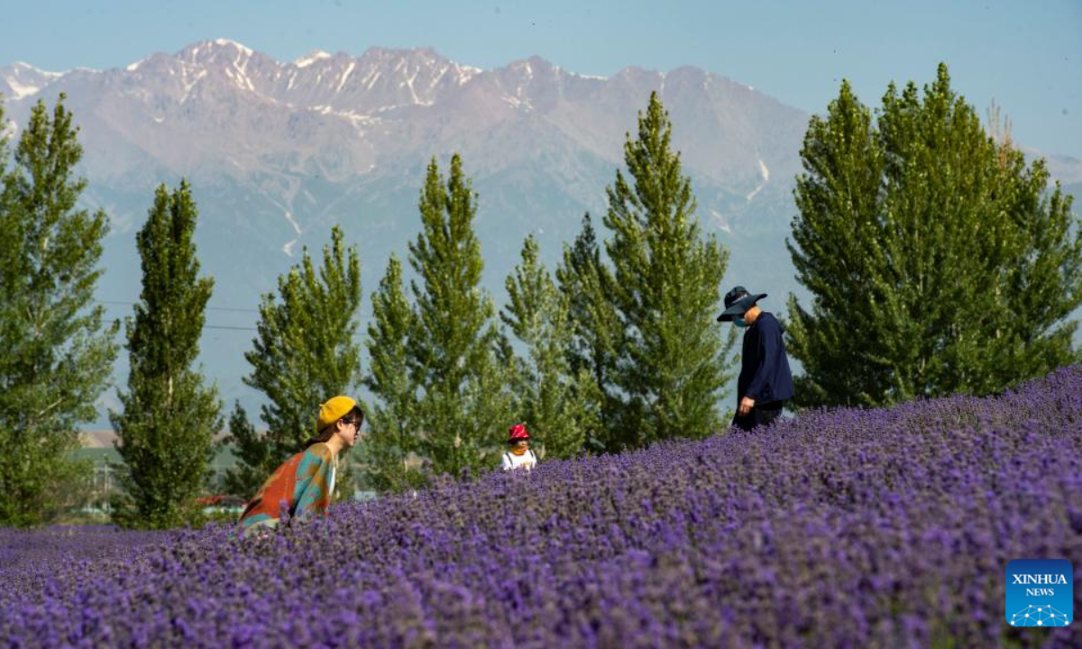 Tourists pose for photos in lavender fields in Sigong Village, Huocheng County of northwest China's Xinjiang Uygur Autonomous Region, June 22, 2022. Photo:Xinhua