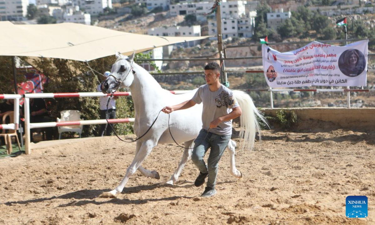 A Palestinian breeder leads an Arabian horse during a beauty contest for Arabian purebred horses in the West Bank city of Hebron, on July 22, 2022. Photo:Xinhua