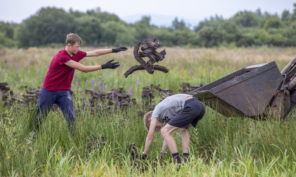 People work to collect dried Irish turf, cut from the Bog of Allen before being used as a traditional source of heat in Irish homes, in Carragh, west of Dublin, on July 19, 2022. Photo: AFP