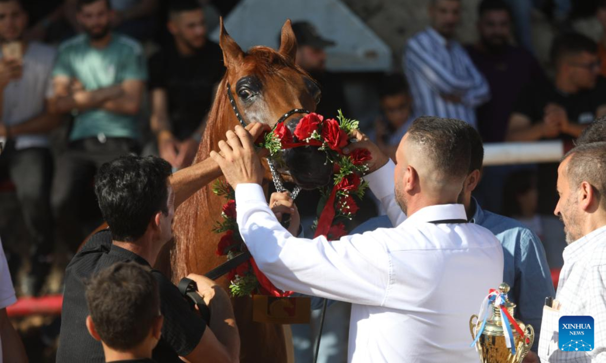 People put a flower crown wreath on the head of an Arabian horse during a beauty contest for Arabian purebred horses in the West Bank city of Hebron, on July 22, 2022. Photo:Xinhua
