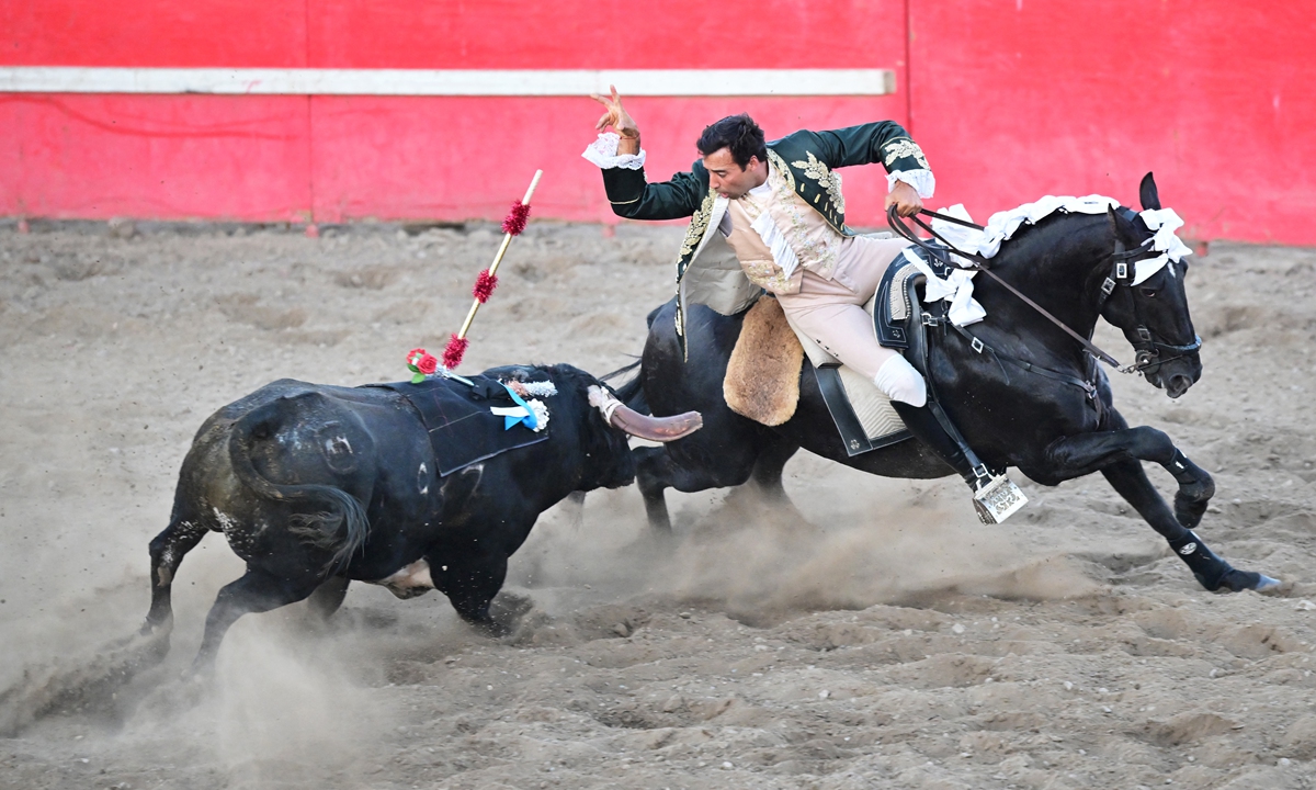 Joao Soller Garcia, Cavaleiro from Portugal, places the velcro-tipped bandarilha on the velcro pad on the back of the bull during a Portuguese-style bloodless bullfight in Turlock, the US on July 10, 2022. Photo: AFP