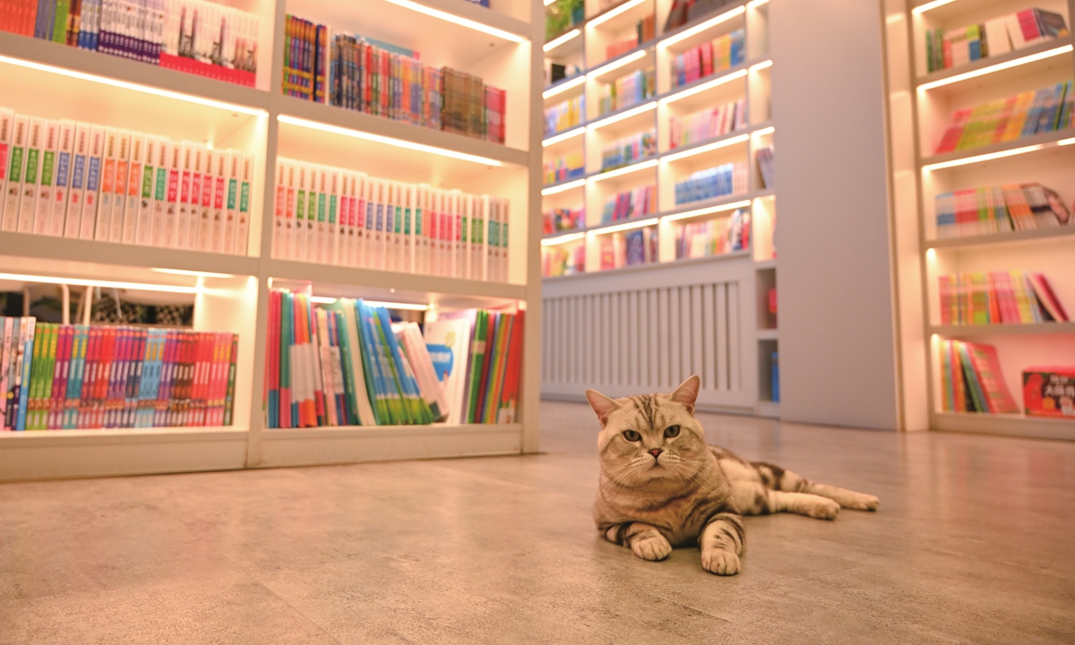 A cat rests in a cat-themed bookstore in Chifeng, North China's Inner Mongolia Autonomous Region on July 19, 2022. Cat decorations are everywhere in this bookstore, which attracts many cat lovers to read books. Photo: IC