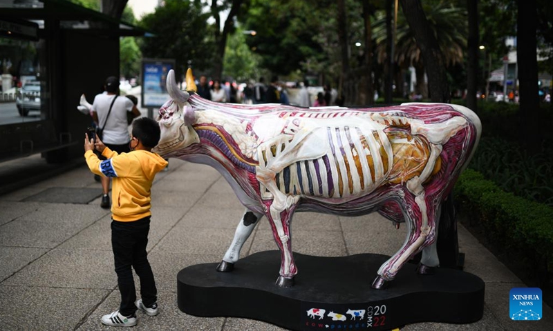 A kid takes a photo with a cow sculpture displayed during the CowParade event in Mexico City, Mexico, July 24, 2022. (Xinhua/Xin Yuewei)