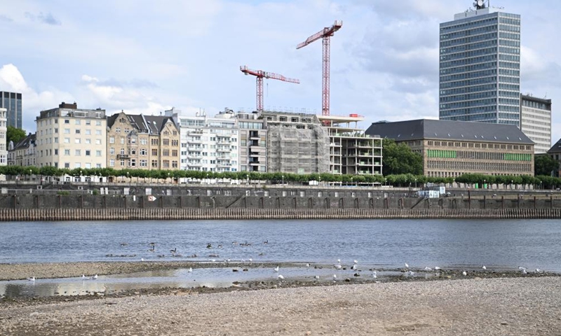 Photo taken on July 26, 2022 shows River Rhine in Dusseldorf, Germany. The water level of River Rhine has dropped due to high temperature and drought. (Photo by Ulrich Hufnagel/Xinhua)