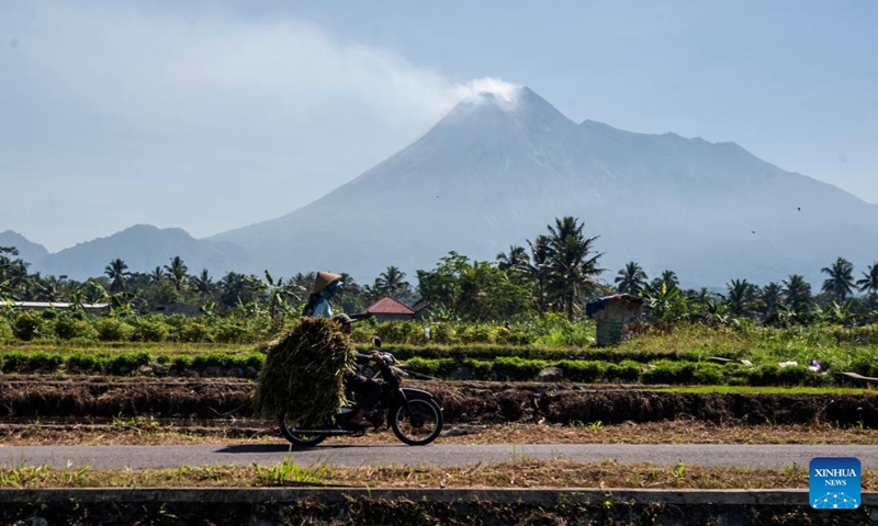 Farmers ride a motorbike carrying harvested rice near Mount Merapi at Cangkringan Village in Sleman district, Yogyakarta, Indonesia, July 26, 2022. (Photo by Agung Supriyanto/Xinhua)