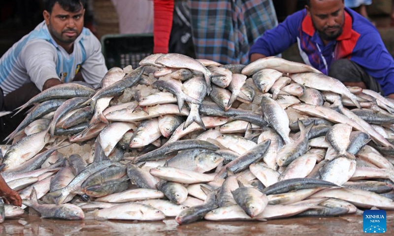 Bangladeshi fishermen restart fishing after 65 days break - Global Times