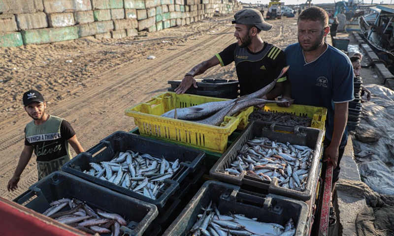 Palestinian fishermen caught fish from the Gaza sea and going to sell them on July 26, 2022. (Photo: Xinhua)