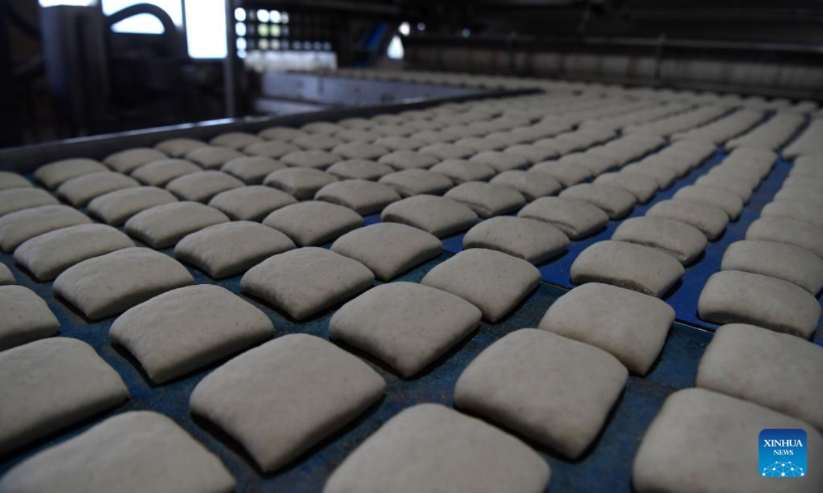 Photo taken on July 19, 2022 shows the production process of bread at a bread factory in Istanbul, Türkiye. Photo:Xinhua