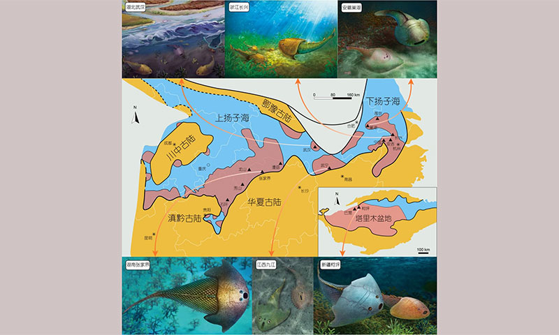Photo: Courtesy of Institute of Vertebrate Paleontology and Paleoanthropology of the Chinese Academy of Sciences