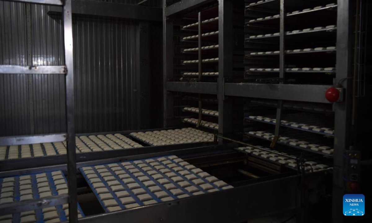 Photo taken on July 19, 2022 shows the production process of bread at a bread factory in Istanbul, Türkiye. Photo:Xinhua
