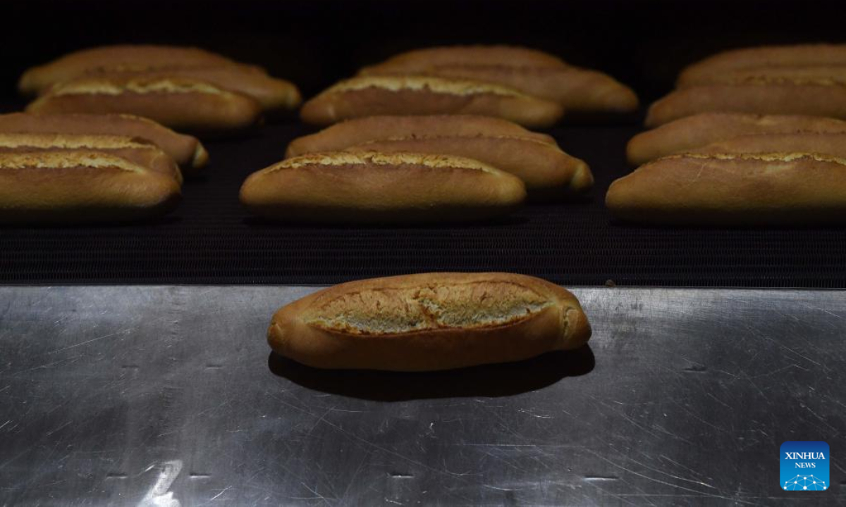 Photo taken on July 19, 2022 shows the production process of bread at a bread factory in Istanbul, Türkiye. Photo:Xinhua