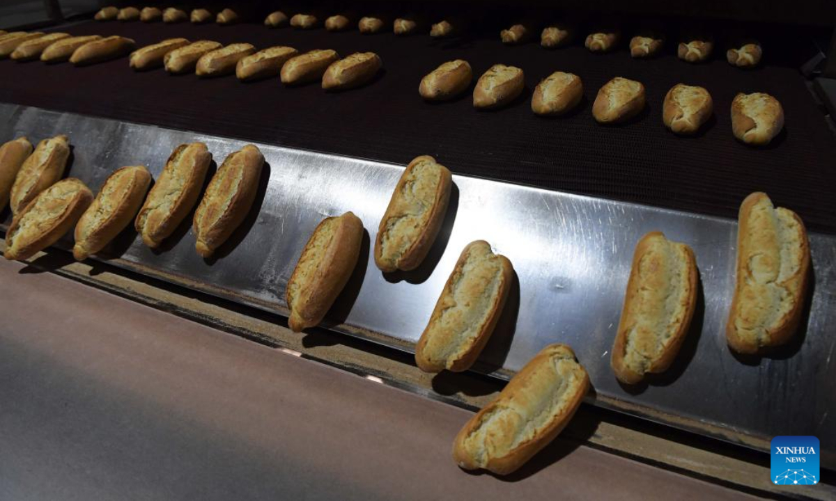 Photo taken on July 19, 2022 shows the production process of bread at a bread factory in Istanbul, Türkiye. Photo:Xinhua