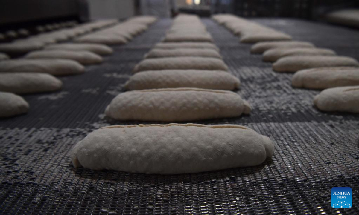Photo taken on July 19, 2022 shows the production process of bread at a bread factory in Istanbul, Türkiye. Photo:Xinhua