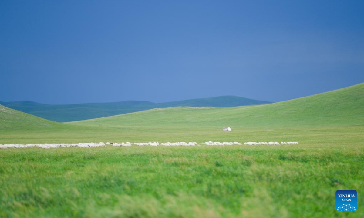Photo taken on July 27, 2022 shows the landscape of a grassland in the Xilingol League's Eastern Ujimqin Banner in north China's Inner Mongolia Autonomous Region.  Photo: Xinhua