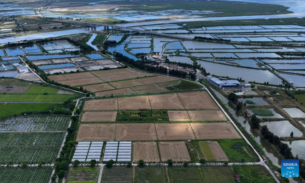 Aerial photo taken on Aug 4, 2022 shows paddy fields and aquaculture ponds in Fuqing City, southeast China's Fujian Province. Photo:Xinhua