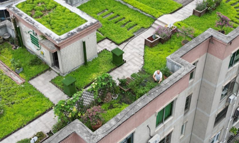 2022年8月5日，重庆一栋老旧住宅楼顶建屋顶花园。60户居民拆除屋顶违章设施，改造为1100平方米的共享花园。  （图片：中新社/张浪）