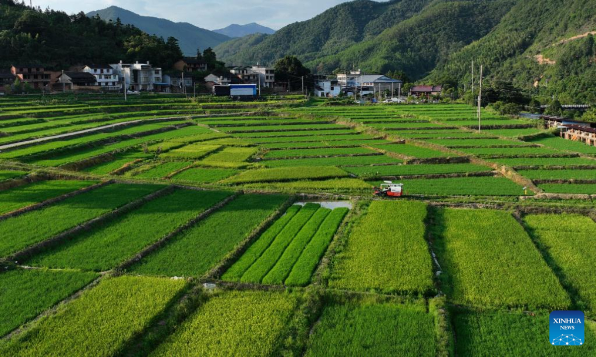 Aerial photo taken on Aug 4, 2022 shows paddy fields and aquaculture ponds in Fuqing City, southeast China's Fujian Province. Photo:Xinhua