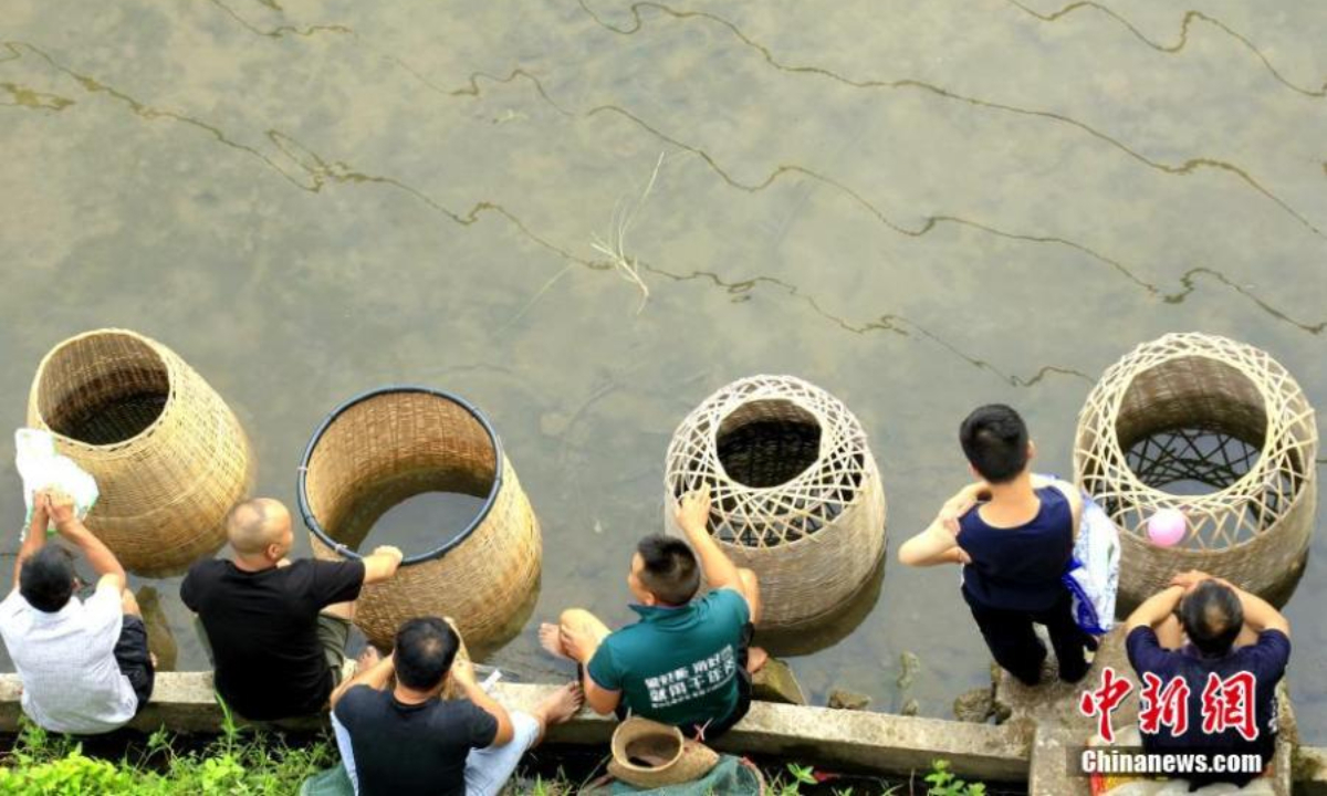 People from the Miao ethnic group catch fish to celebrate the Chixin festival in Shibing county, Qiandongnan Miao and Dong Autonomous Prefecture, southwest China's Guizhou Province, Aug 5, 2022. Chixin festival is a local celebration for good harvest. Photo: China News Service