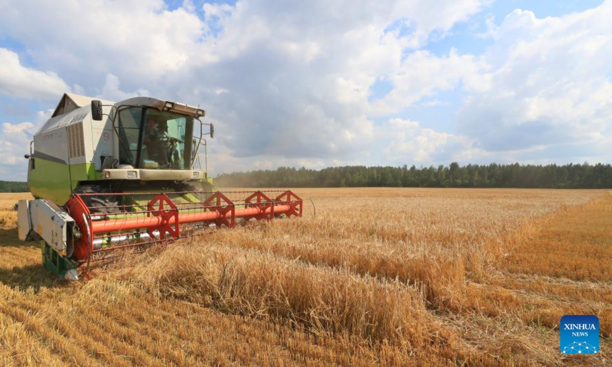 A reaper harvests grains in Minsk, Belarus, Aug 4, 2022. Photo:Xinhua