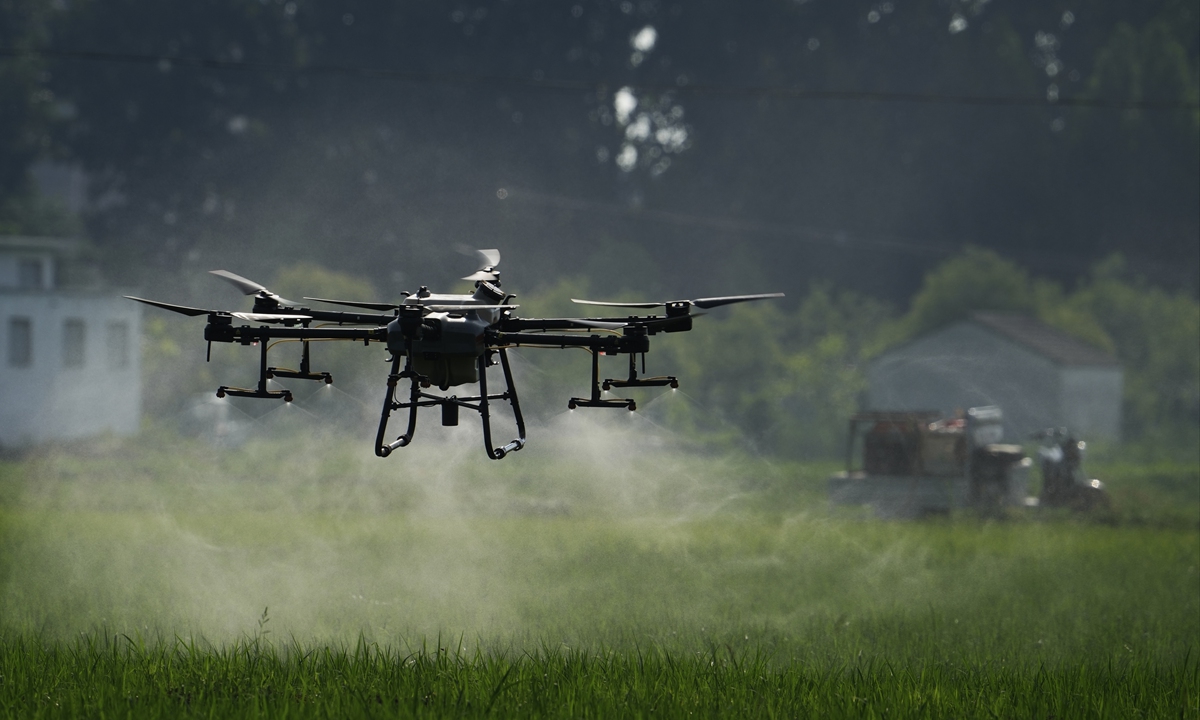 Farmers use drones to spray pesticides on rice fields in Huaibei, East China's Anhui Province, on July 31, 2022. According to media reports, drones can spray pesticides on nearly 500 mu (33.3 hectares) per day, which is 50 times as much as a skilled farmer. Photo: VCG