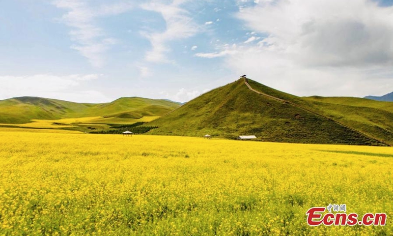 中国西北部青海省海北藏族自治州祁连县卓尔山壮丽的夏日风光，丹霞地貌。  （图片：中新社/赵海梅）