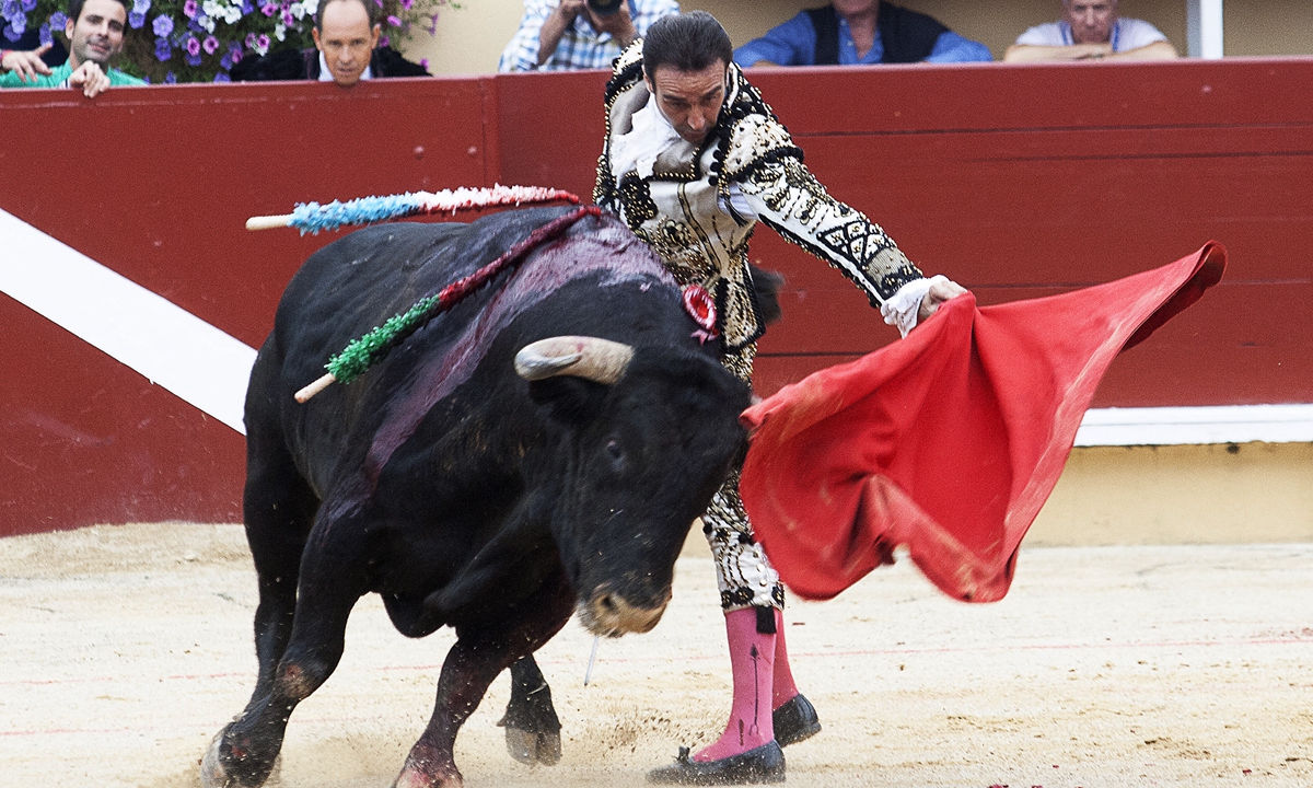 Spanish matador Enrique Ponce performs a pass on a Garcigrande bull during a Goyesque bullfight in Bayonne, southwestern France on August 15, 2017. Photo: AFP