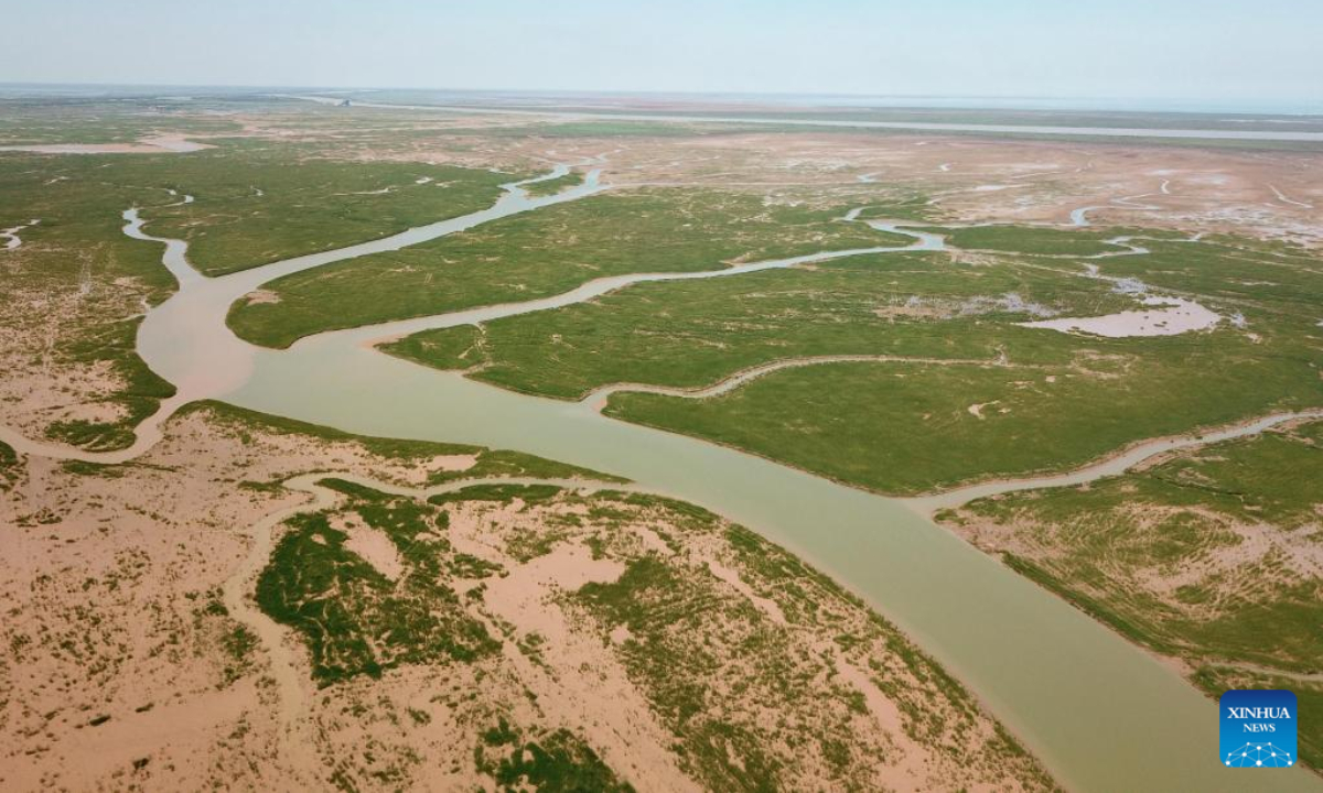 Aerial photo taken on Aug 17, 2022 shows the wetland at the Yellow River Delta National Nature Reserve in Dongying, east China's Shandong Province. Photo:Xinhua