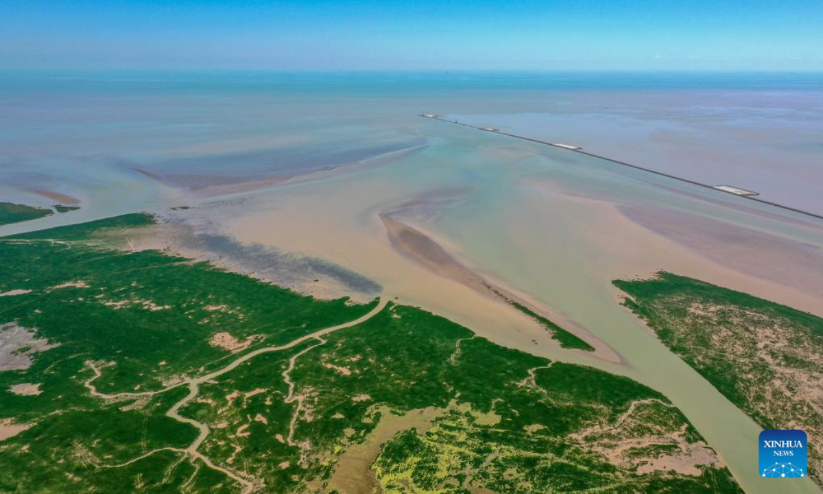 Aerial photo taken on Aug 17, 2022 shows the wetland at the Yellow River Delta National Nature Reserve in Dongying, east China's Shandong Province. Photo:Xinhua