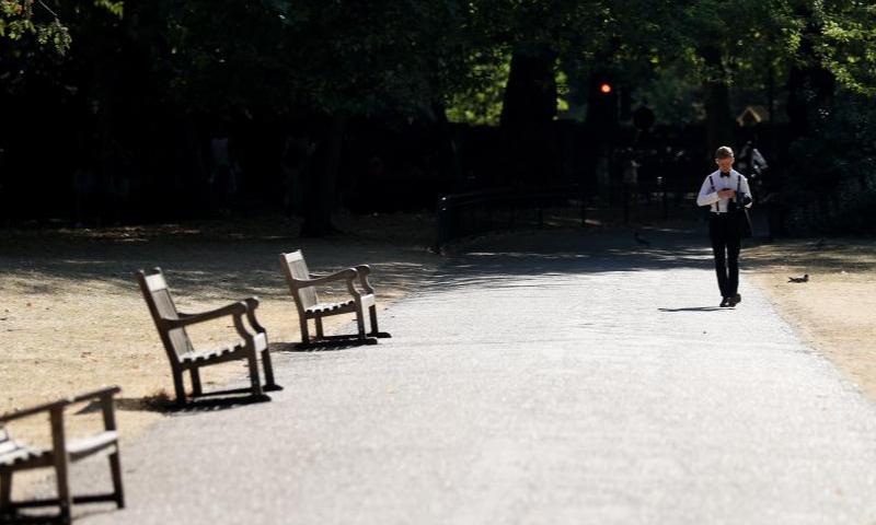 A man walks past the lawn in St James's Park in London, Britain, on Aug. 13, 2022. A drought was officially declared on Friday across a large swathe of England, amid a new heatwave and prolonged dry weather.  Photo: Xinhua
