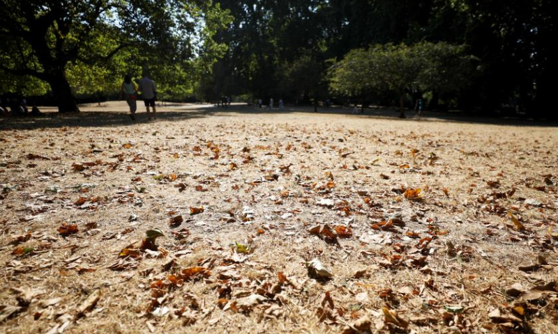 People walk on the lawn in St James's Park in London, Britain, on Aug. 13, 2022. A drought was officially declared on Friday across a large swathe of England, amid a new heatwave and prolonged dry weather. Photo: Xinhua