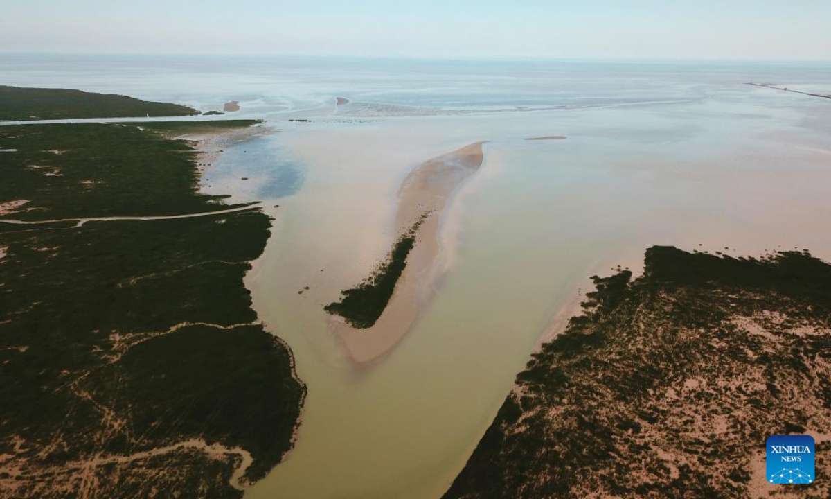 Aerial photo taken on Aug 17, 2022 shows the wetland at the Yellow River Delta National Nature Reserve in Dongying, east China's Shandong Province. Photo:Xinhua