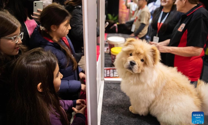 People visit the Dog Lovers Show in Sydney, Australia, Aug. 7, 2022. After a three-year break due to the COVID-19 pandemic, Sydney's largest event dedicated to dogs, Dog Lovers Show, has once again brought pooch fans into a heaven of furry fun.(Photo: Xinhua)